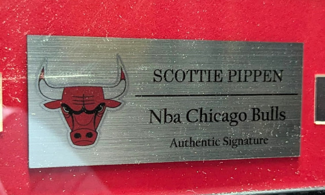 Scottie Pippen Playera Original Chicago Bulls Autografiada Certificada por Beckett W170568 enmarcada