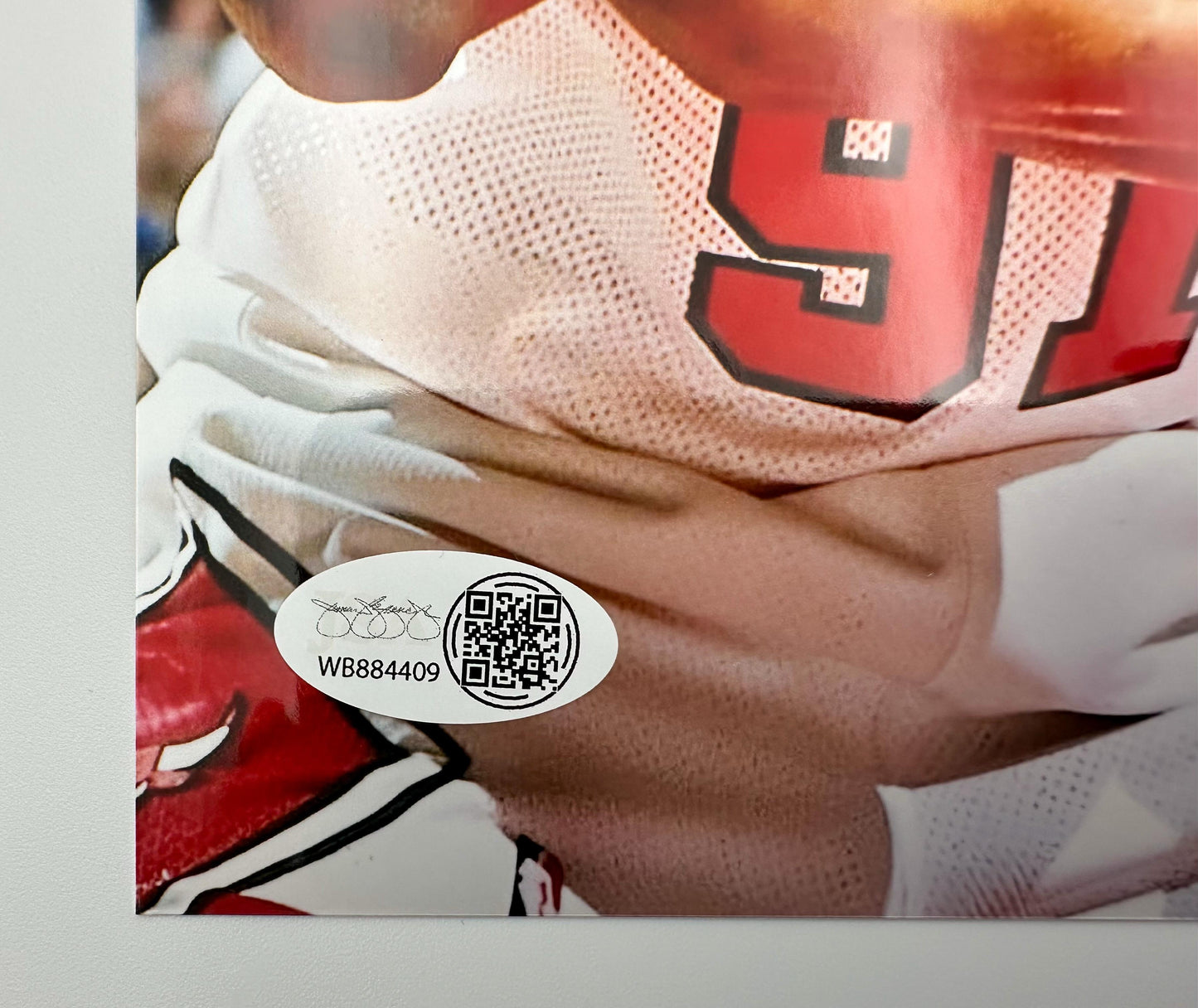 Dennis Rodman Fotografía Autografiada Bulls certificada por JSA WB884409