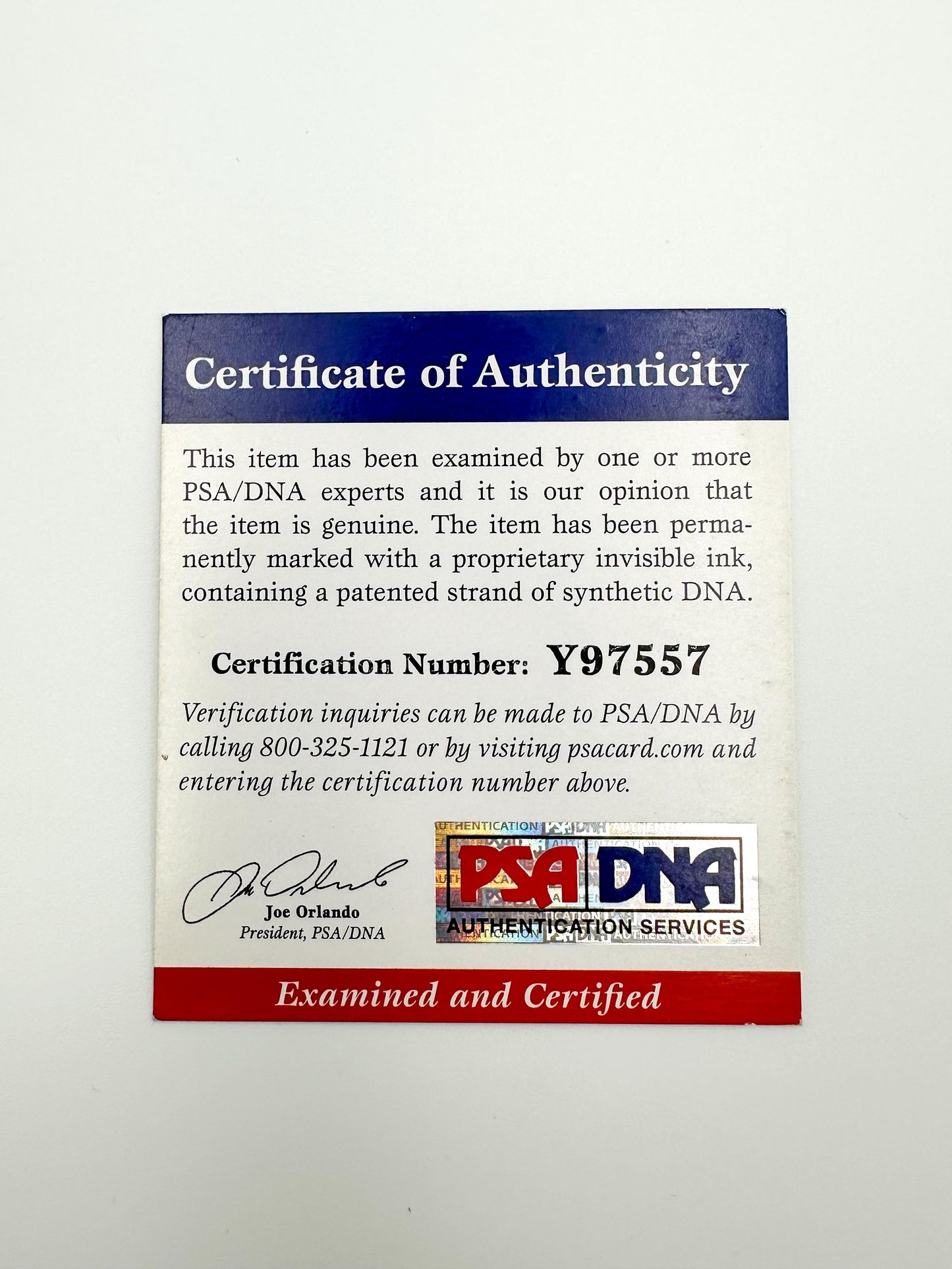 Gennady GGG Golovkin Fotografía Autografiada firma certificada por PSA Y97557.