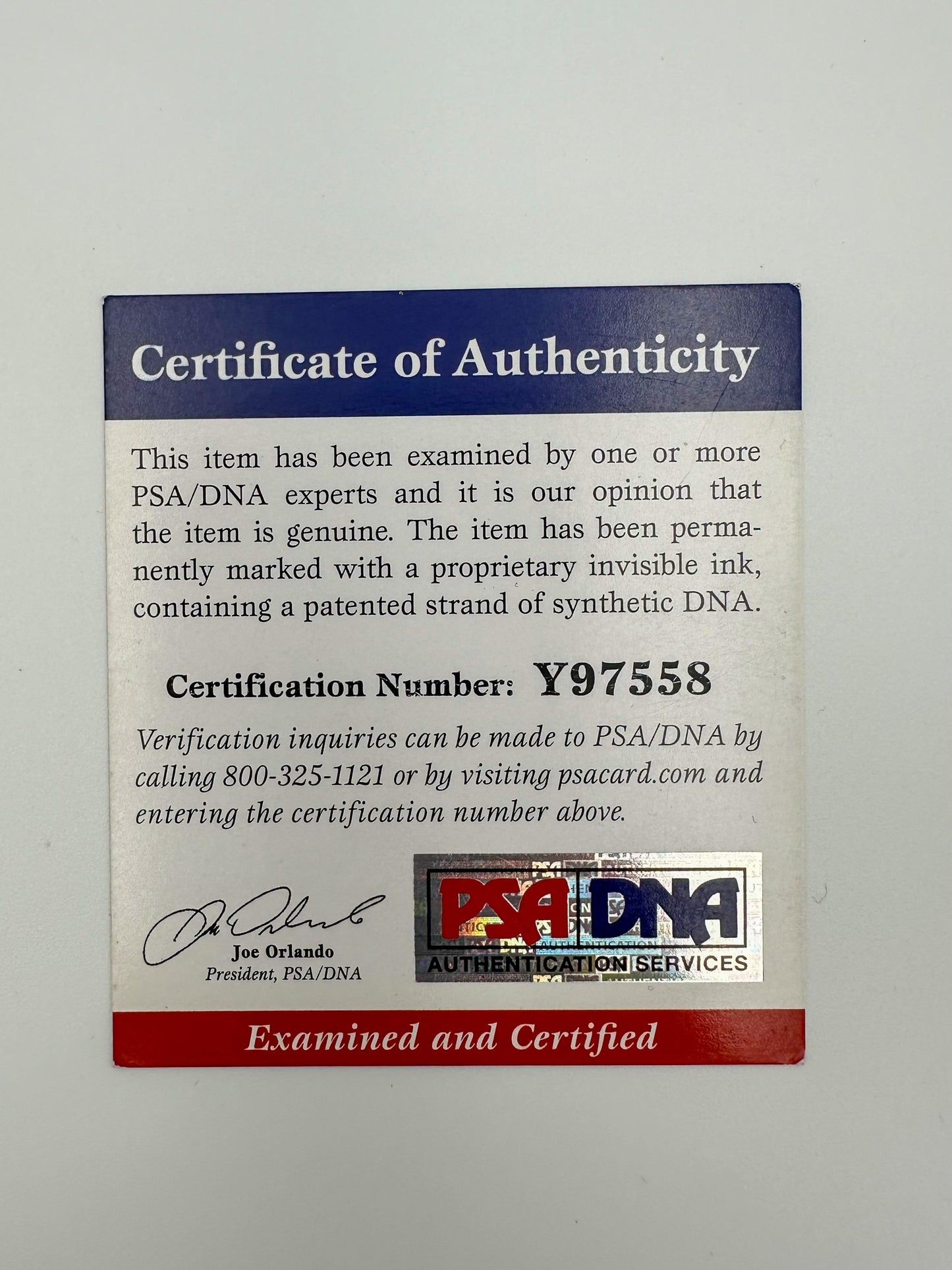 Gennady GGG Golovkin Fotografía Autografiada Boxeo firma certificada por PSA Y97558.