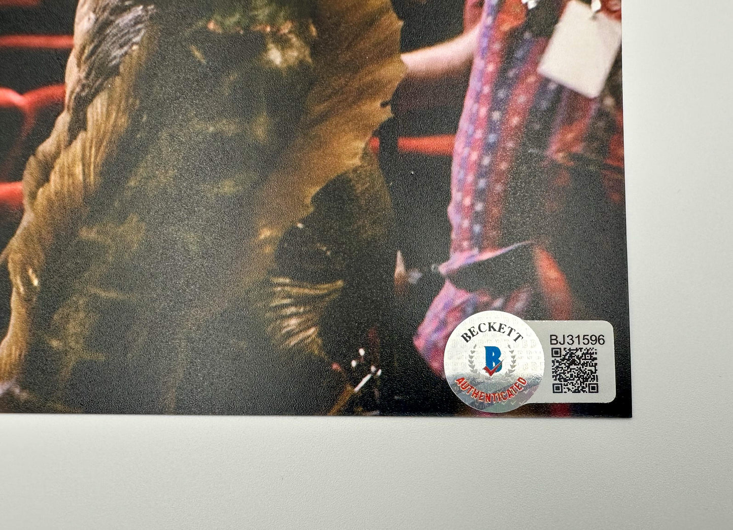 Guillermo del Toro fotografía autografiada La forma del Agua firma certificada por Beckett BJ31596 y BG37768.