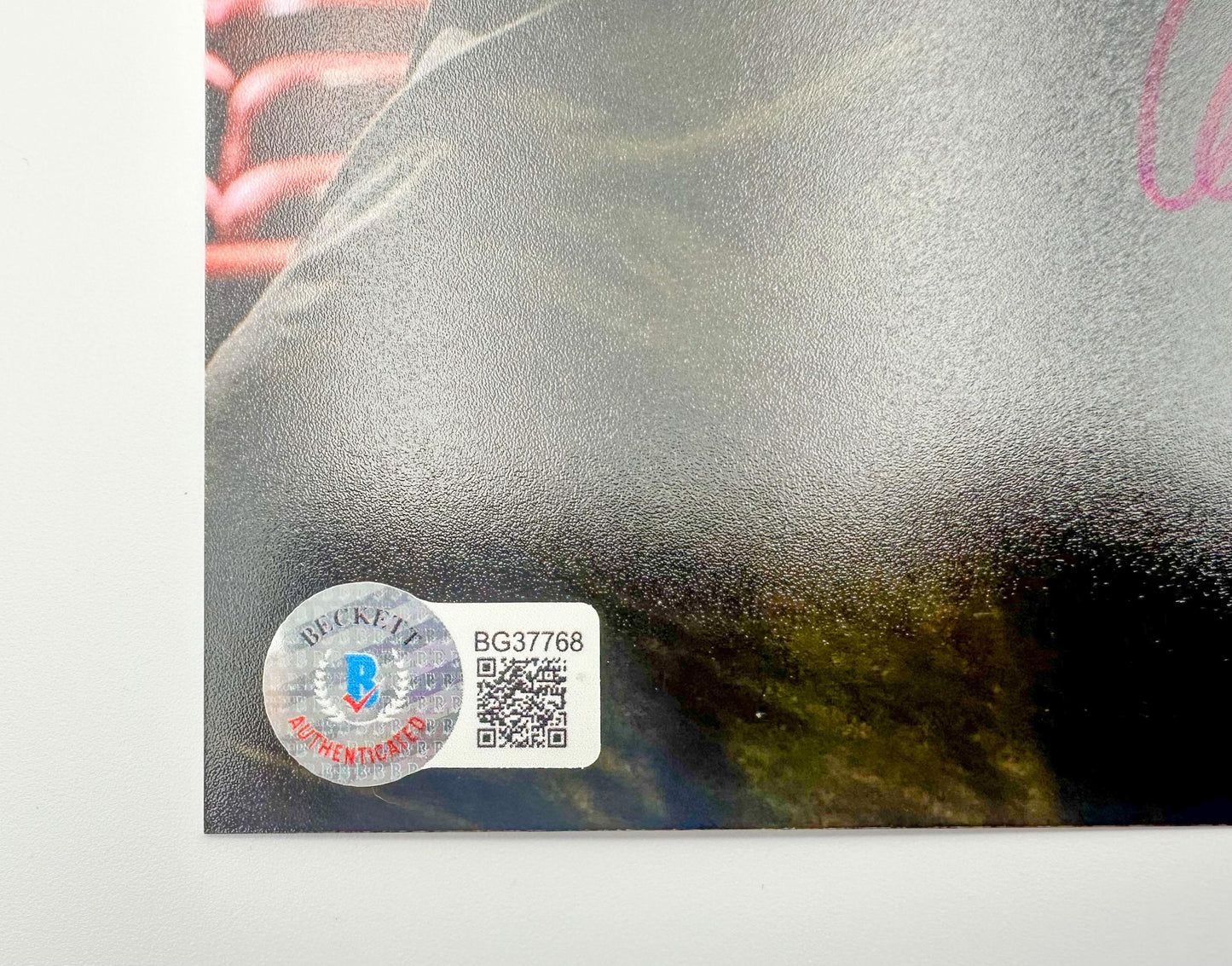 Guillermo del Toro fotografía autografiada La forma del Agua firma certificada por Beckett BJ31596 y BG37768.