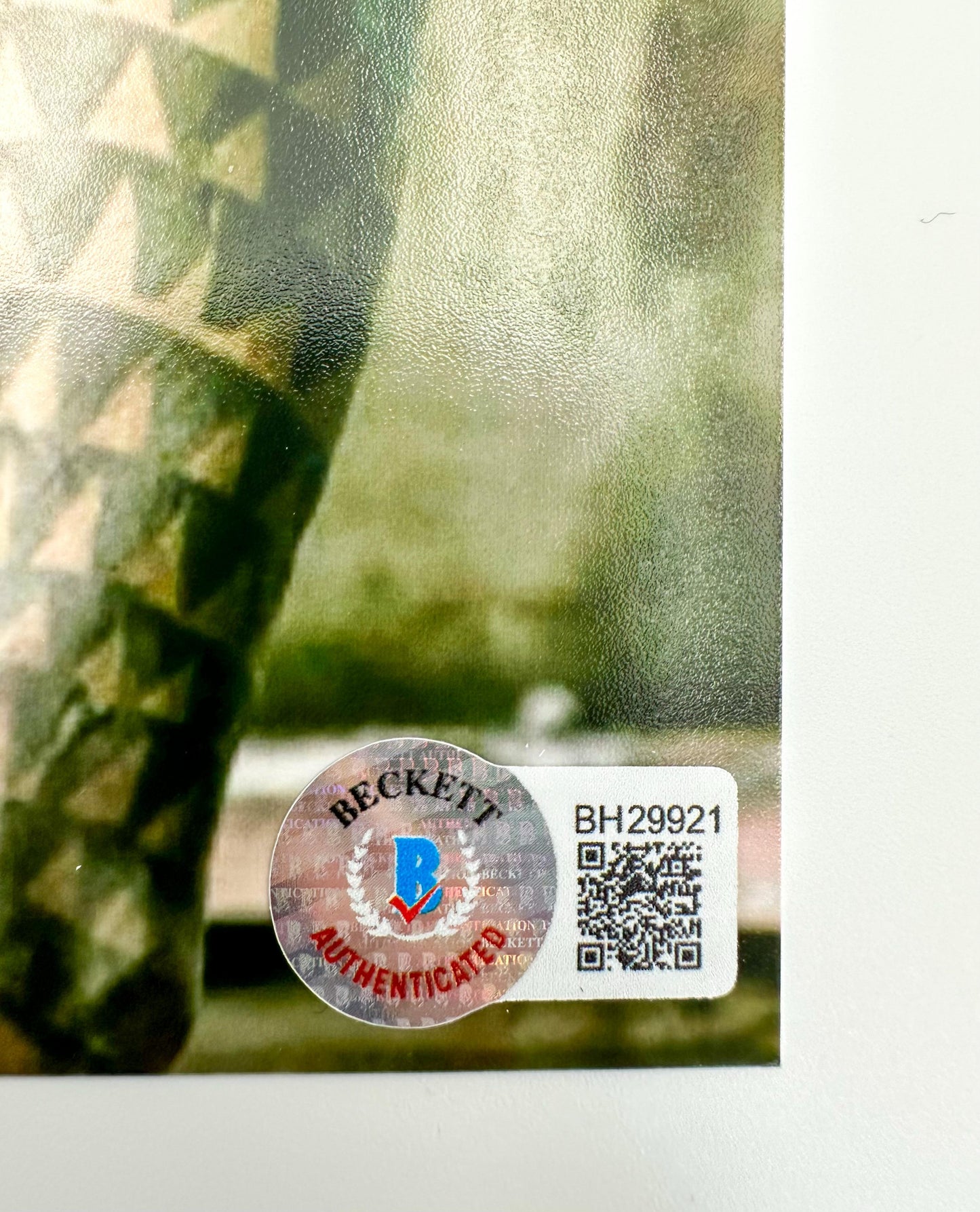 Jason Momoa Fotografía autografiada, firma certificada por la compañía Beckett con el número BH29921.