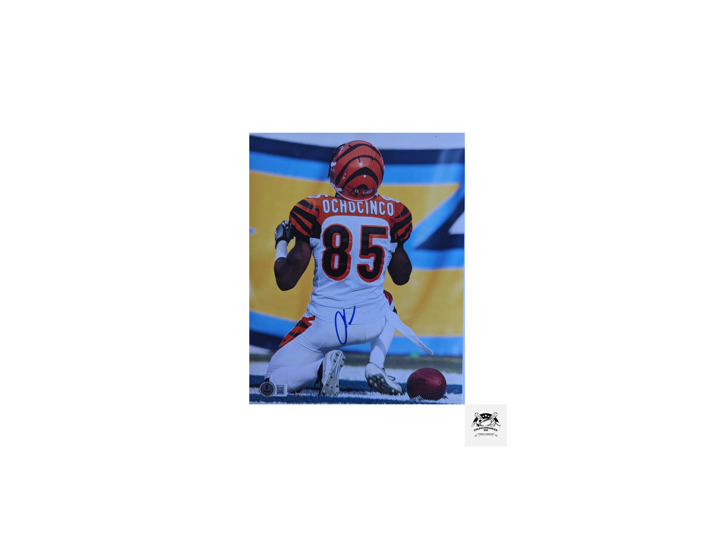 Chad Johnson “Ochocinco” Cincinnati Bengals Fotografía Autografiada firma certificada por Beckett 2W151131