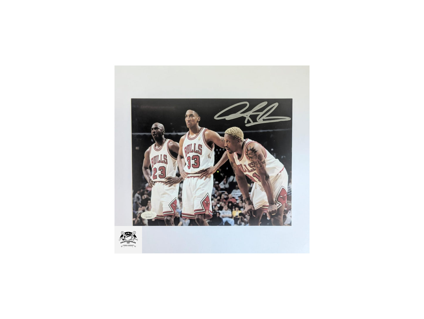 Dennis Rodman Chicago Bulls fotografía autografiada tridente certificado JSA WB239403