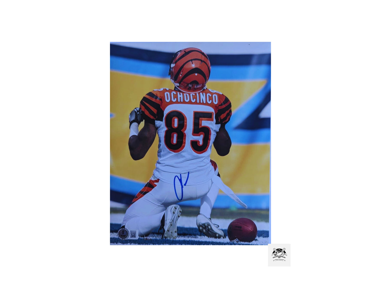 Chad Johnson “Ochocinco” Cincinnati Bengals Fotografía Autografiada firma certificada por Beckett 2W151131