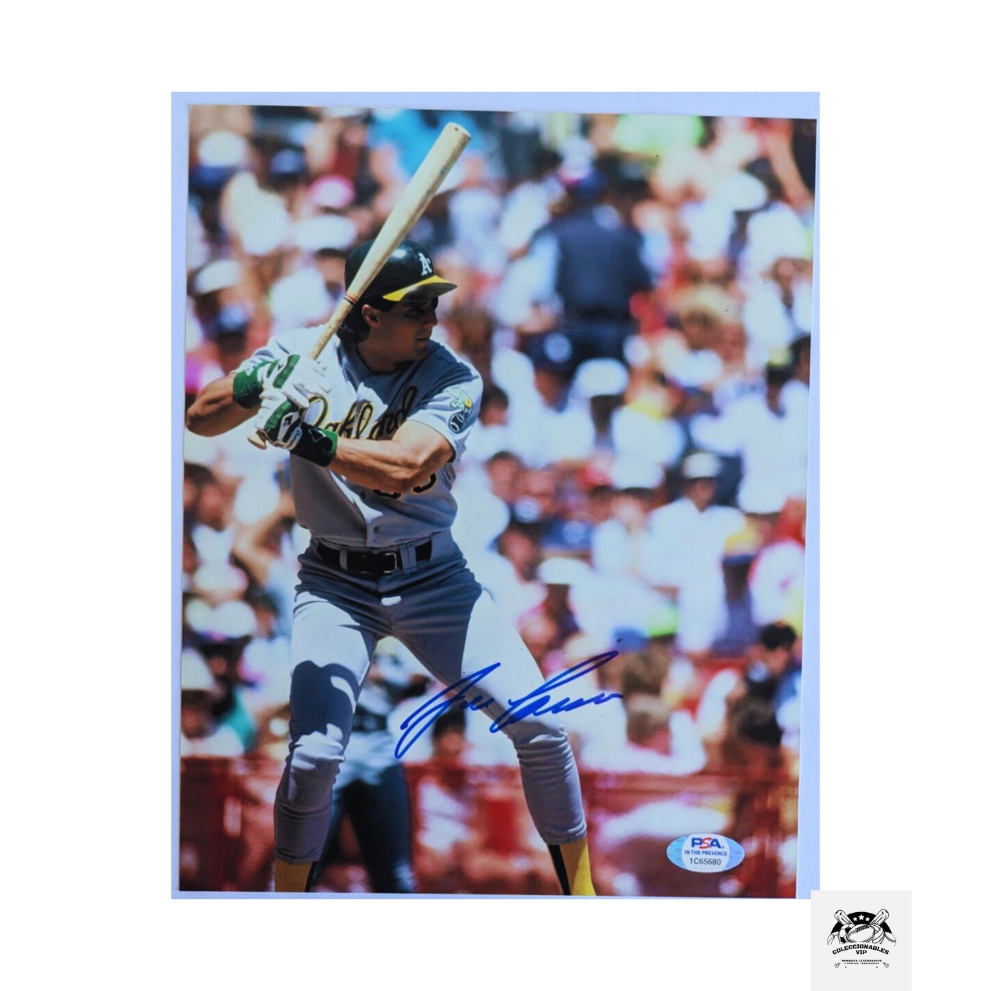 José Canseco fotografía MLB Oakland Athletics autografiada firma certificada por PSA 1C65680