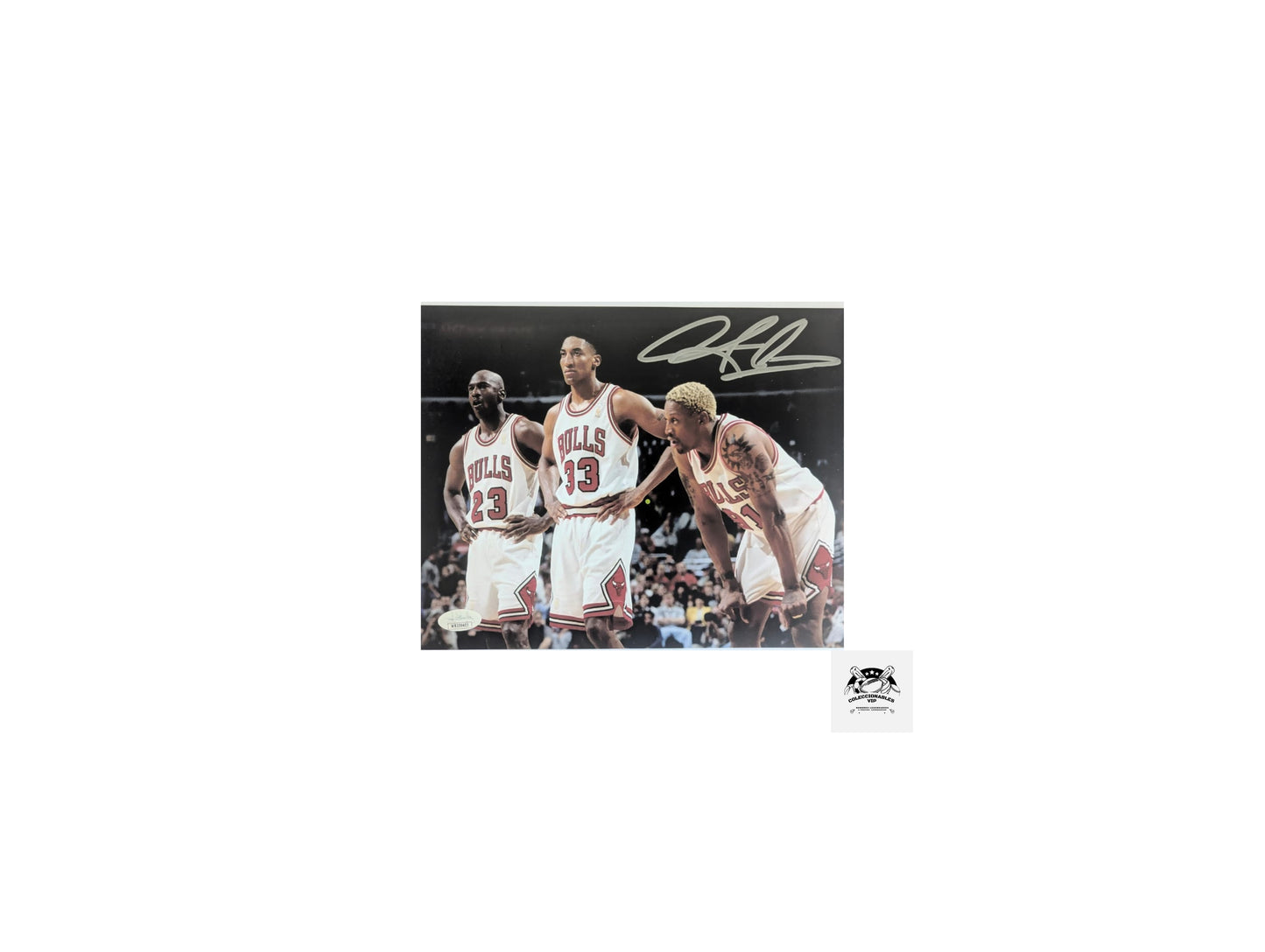Dennis Rodman Chicago Bulls fotografía autografiada tridente certificado JSA WB239403