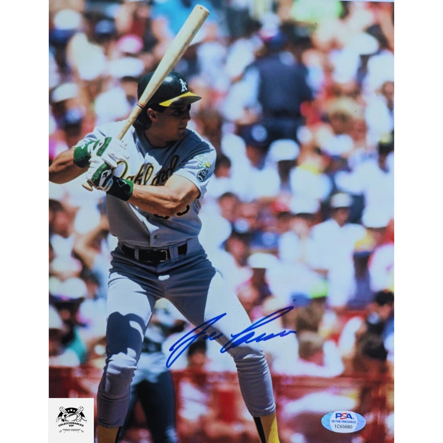 José Canseco fotografía MLB Oakland Athletics autografiada firma certificada por PSA 1C65680
