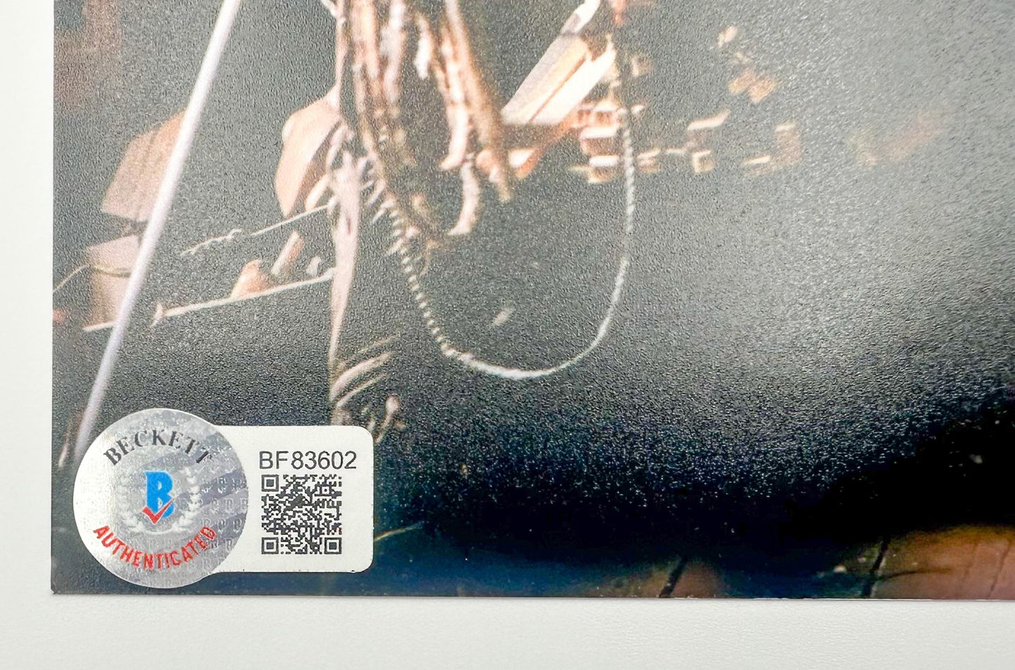 Guillermo del Toro en la ventana fotografía autografiada firma certificada por Beckett BF83602.