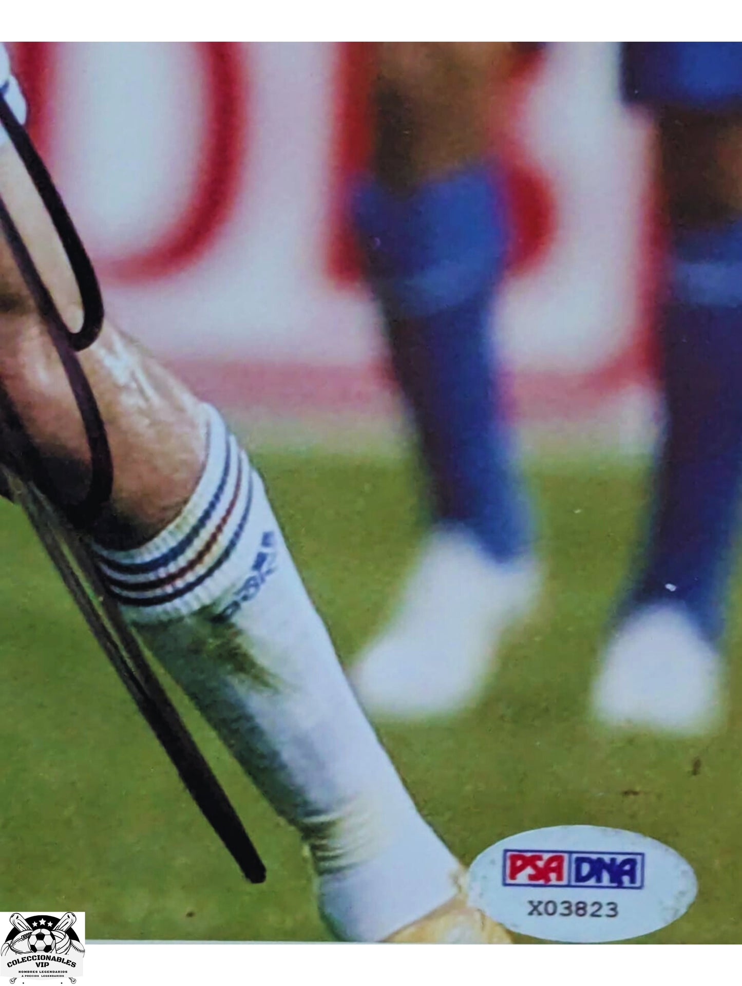 Zinedine Zidane y Kaka Foto autografiada Enmarcada firma autentificada por la compañía PSA con el número X03823.